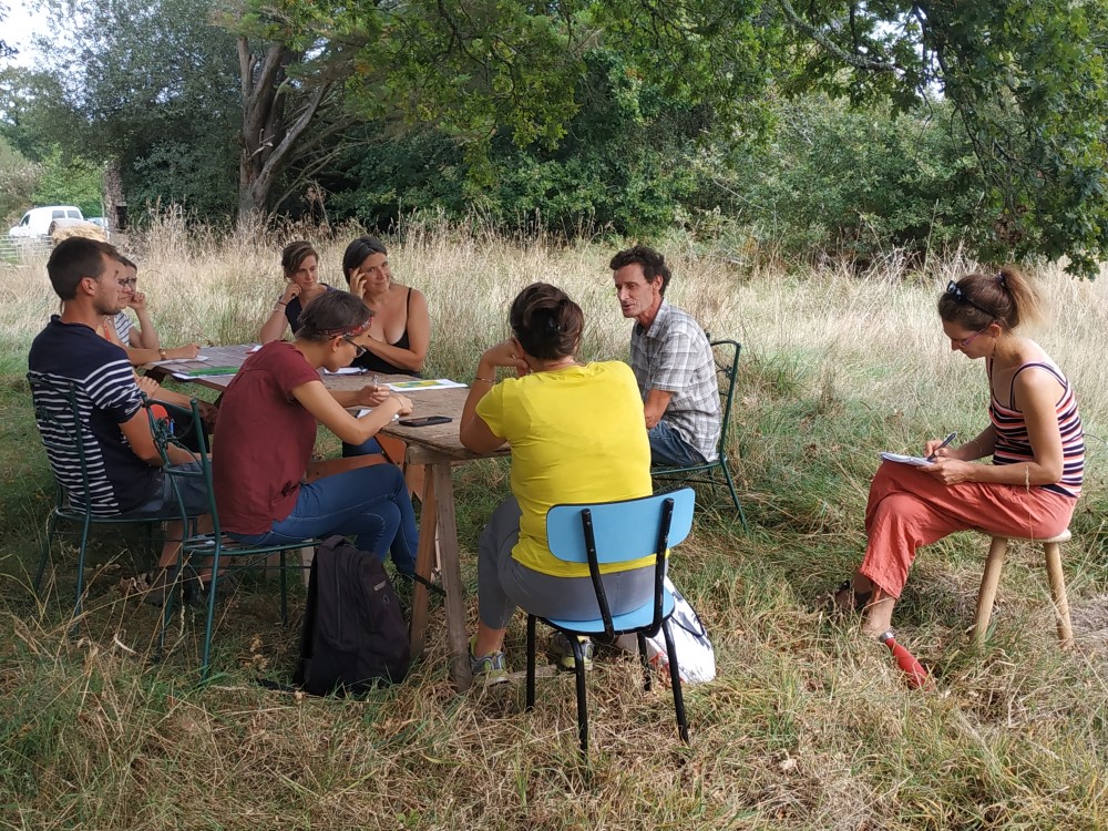 Groupe assis discutant sous un arbre